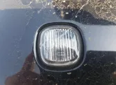 Front fender indicator light