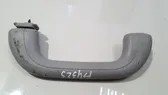 Front interior roof grab handle