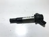 High voltage ignition coil