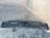 Moldura del limpia