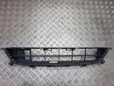 Front bumper lower grill