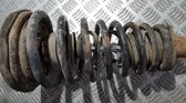 Front coil spring