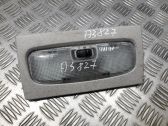 Luz del asiento delantero