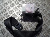 Sicherheitsgurt hinten