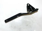Bisagras del capó/tapa del motor