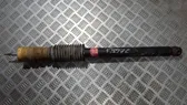 Rear shock absorber/damper