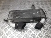 Intercooler radiator