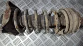 Rear coil spring