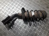 Front coil spring