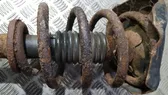 Front coil spring