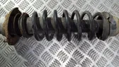 Front coil spring