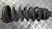 Front coil spring