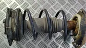 Front coil spring