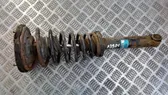 Front coil spring