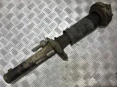 Front shock absorber/damper