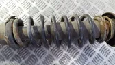 Front coil spring