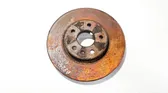 Front brake disc