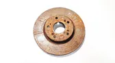 Front brake disc