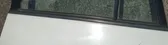 Rear door glass trim molding