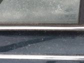 Listón embellecedor de la ventana de la puerta trasera