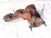 Exhaust manifold