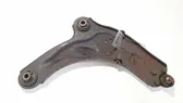 Front lower control arm/wishbone