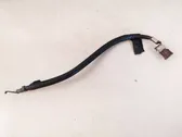 Positive cable (battery)