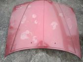 Motorhaube