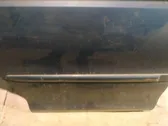 Listón embellecedor de la puerta delantera (moldura)