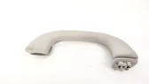 Front interior roof grab handle