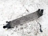 Radiador intercooler