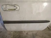 Rear door trim (molding)