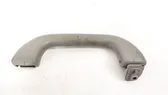 Front interior roof grab handle