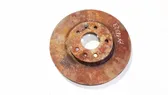 Front brake disc