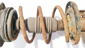 Front coil spring