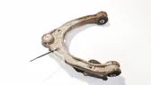 Front lower control arm/wishbone