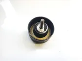 Belt tensioner pulley