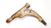 Front lower control arm/wishbone