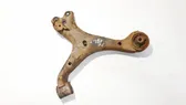 Front lower control arm/wishbone