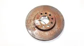 Front brake disc