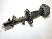 Front shock absorber/damper