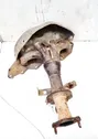 Exhaust manifold