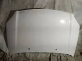 Engine bonnet/hood