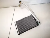 Heater blower radiator