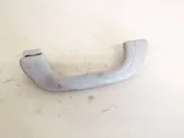 Front interior roof grab handle