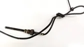 Exhaust gas temperature sensor