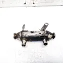 EGR valve cooler
