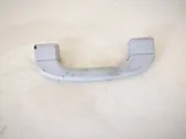 Front interior roof grab handle