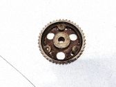 Engranaje de la bomba de combustible (polea)