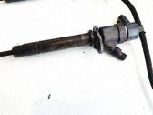 Injektor Einspritzdüse